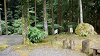 camp29 (208)_thumb.png